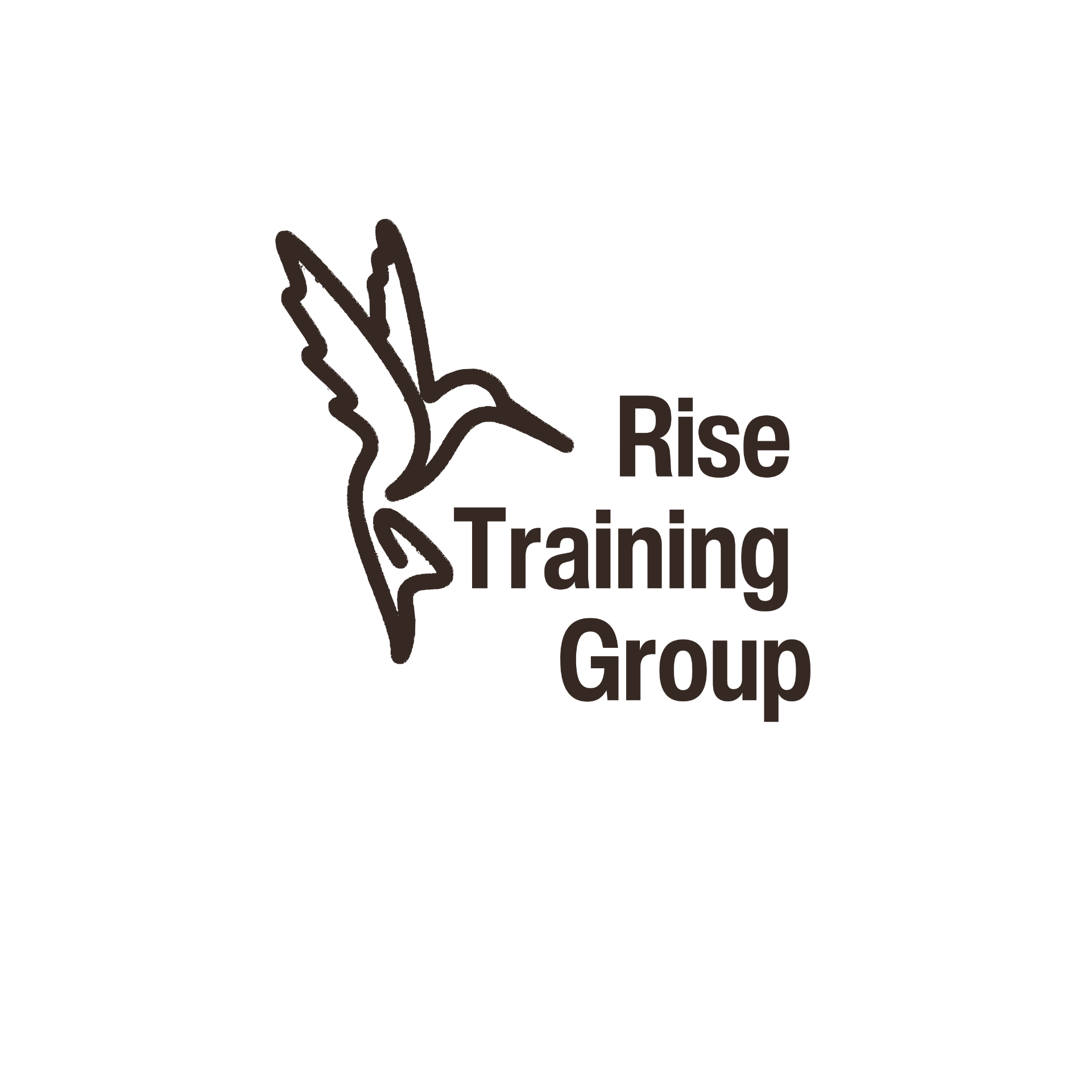 Rise Training Group logo